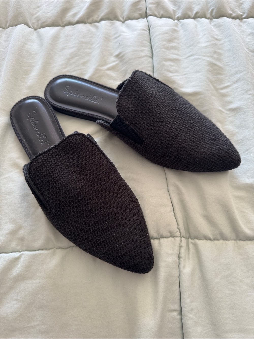 Splendid Black Pointed Slip-On Mule Loafers